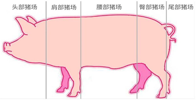 ξ(й)޹˾
